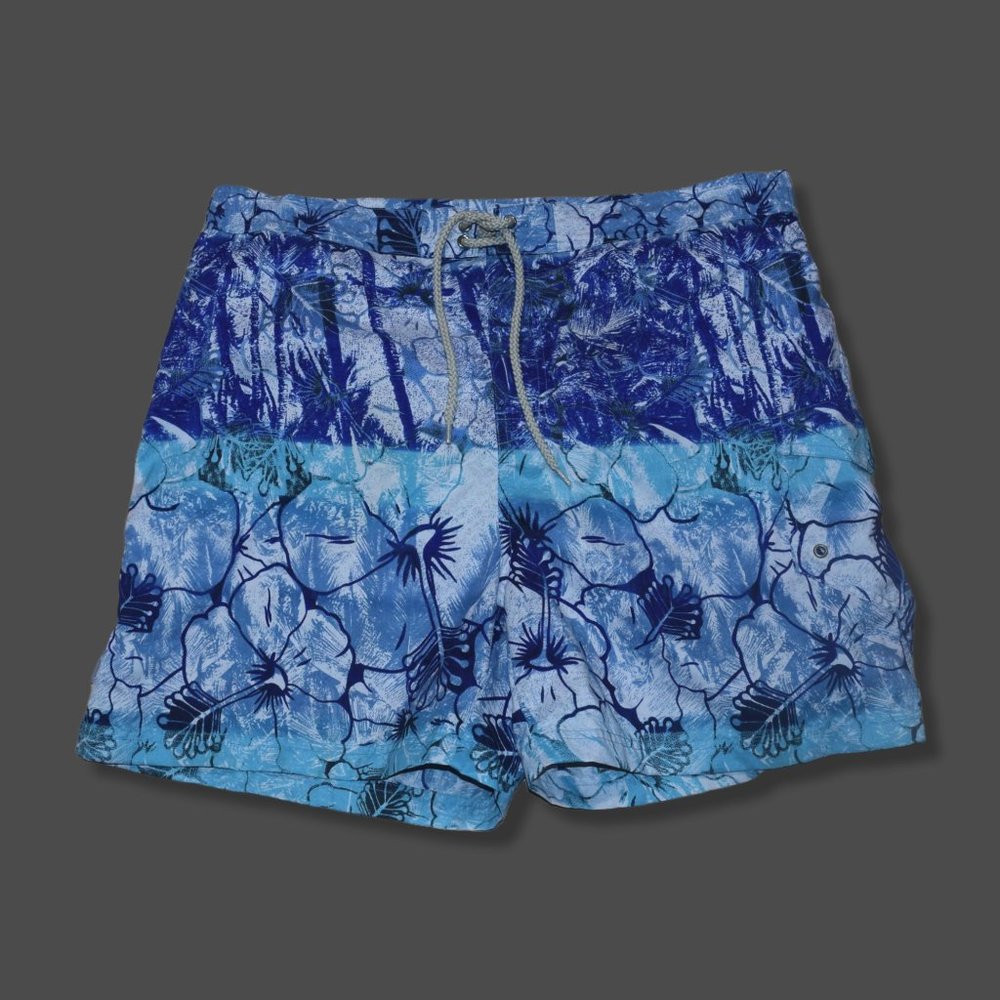 PIERRE CARDIN Men's Sz XL Brief NETTED Swim TRUNKS Beach Shorts EXCELLENT